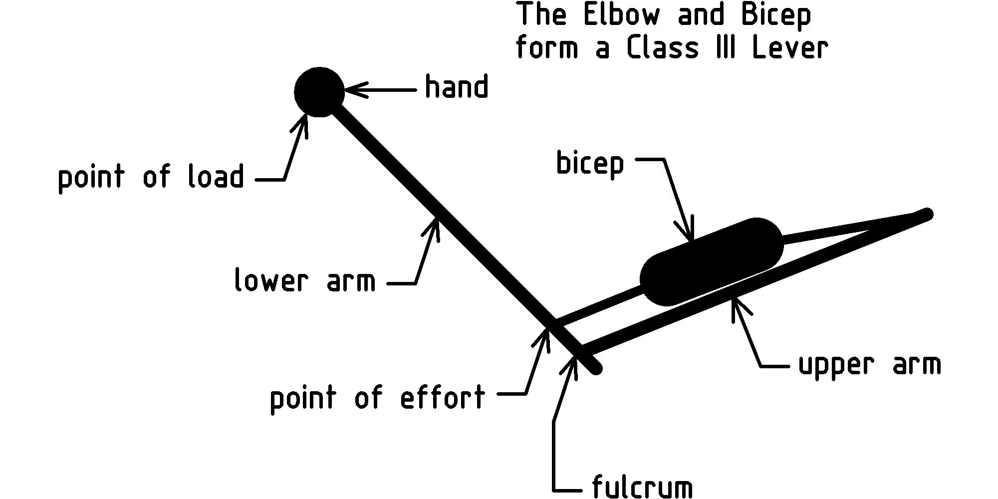 figure LeverClass3.png
