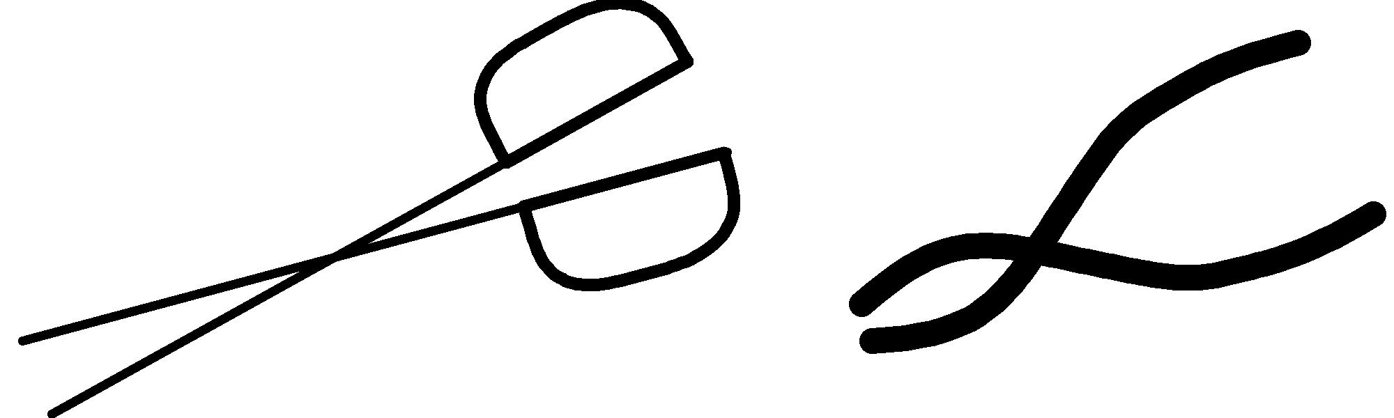 figure LeverClass4.png